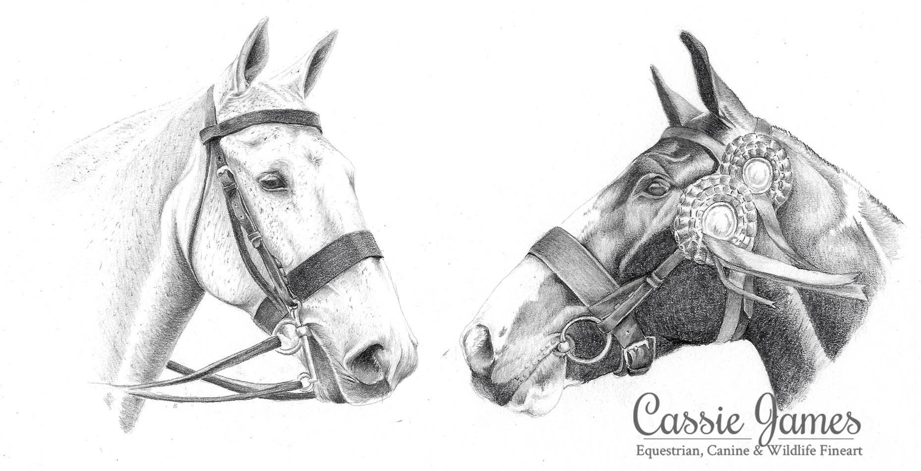 Cassie James Art - Pencil Drawing